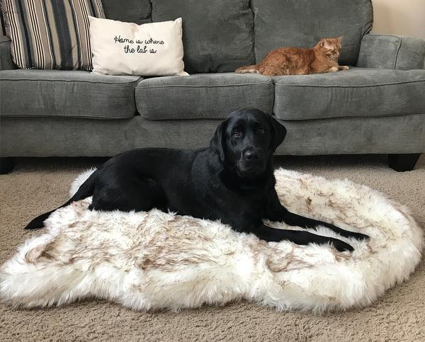 Cozycanine Plush Dog Bed - Luxurious Orthopedic Bed for Restful Sleep-0