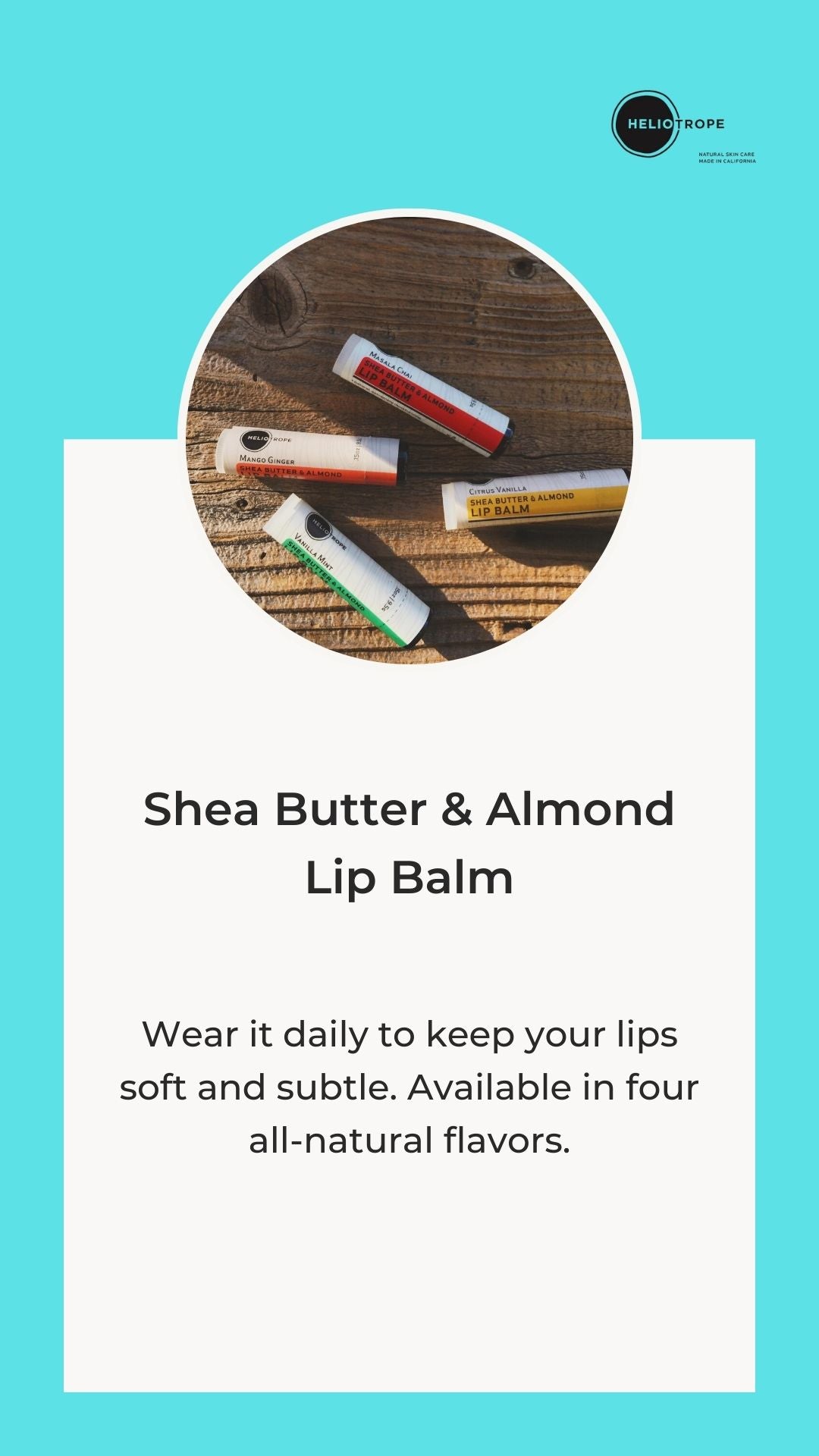Shea Butter & Almond Lip Balm - Nourishing & Hydrating Lip Care-1