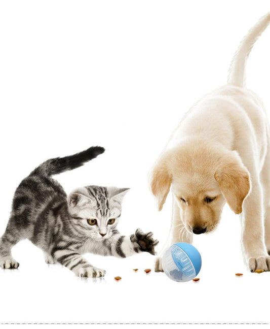 Engage-N-Treat Interactive Pet Food Ball-0