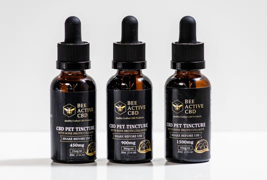 Bee Active CBD Pet Tinctures - Calming Relief Drops for Dogs & Cats-0